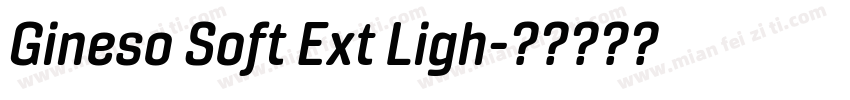 Gineso Soft Ext Ligh字体转换